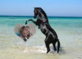 /album/photos-de-moussa/a916e58e5e320bed52dce80cc8c7741f5-jpg1/